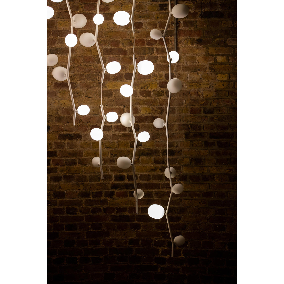 Isolora Suspension Verticale Verre Moderne