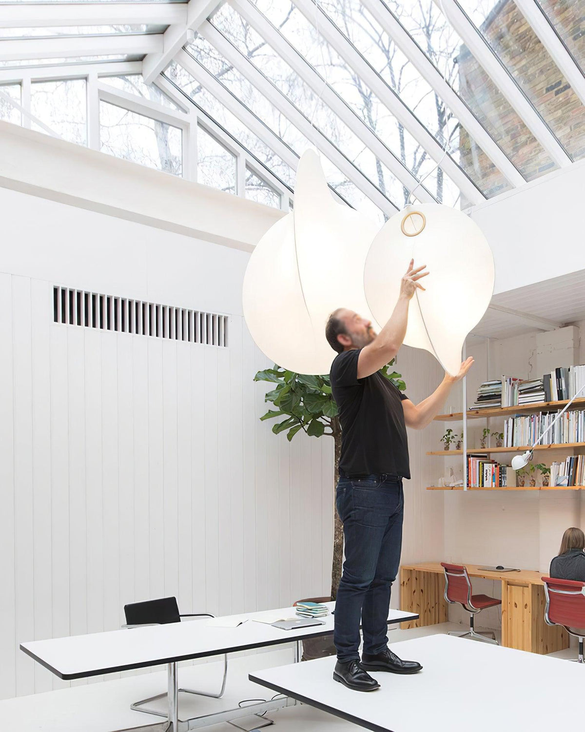 Seliia Suspension