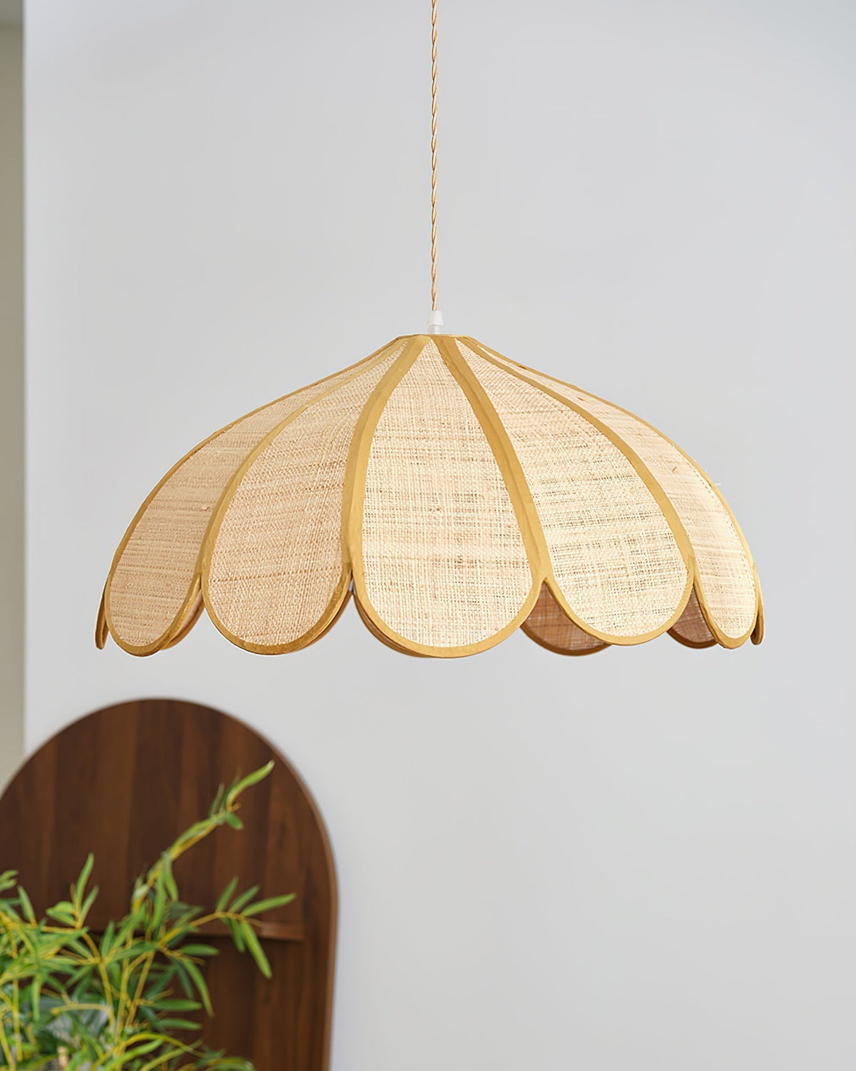 Elaisora Suspension