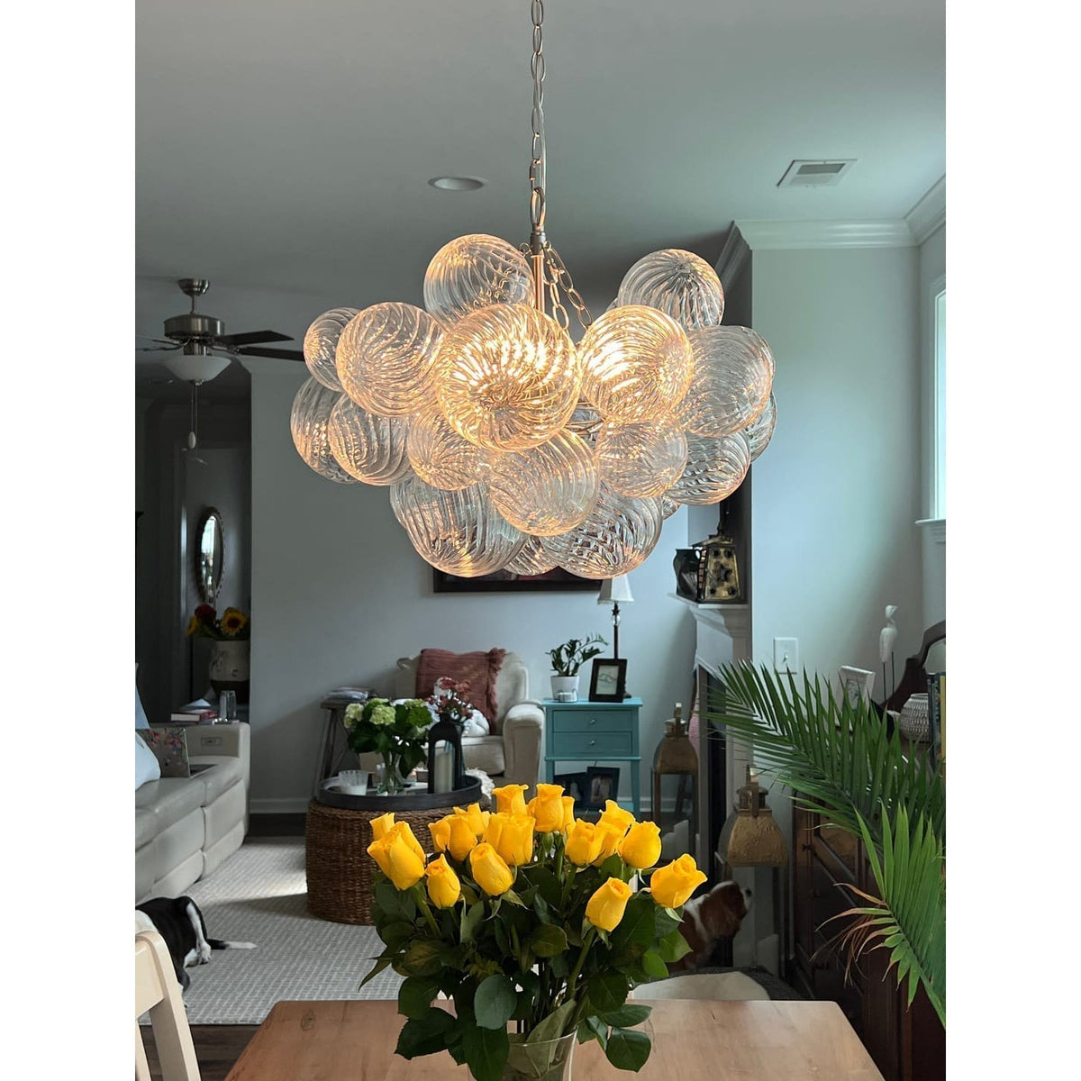 Resonel Lustre