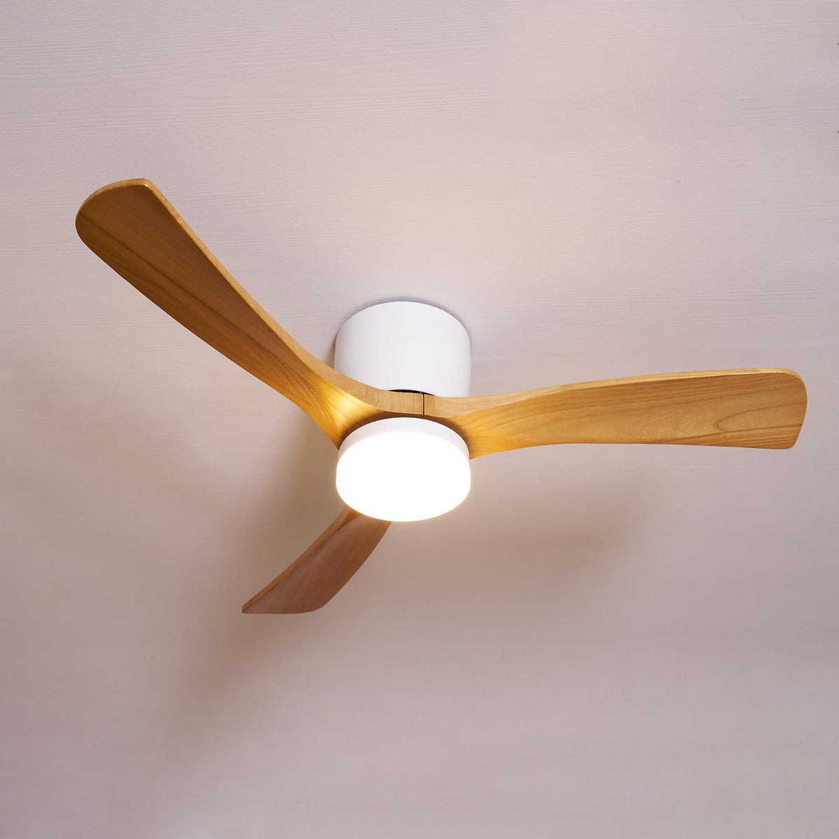 Miroise Ventilateur de Plafond avec Éclairage